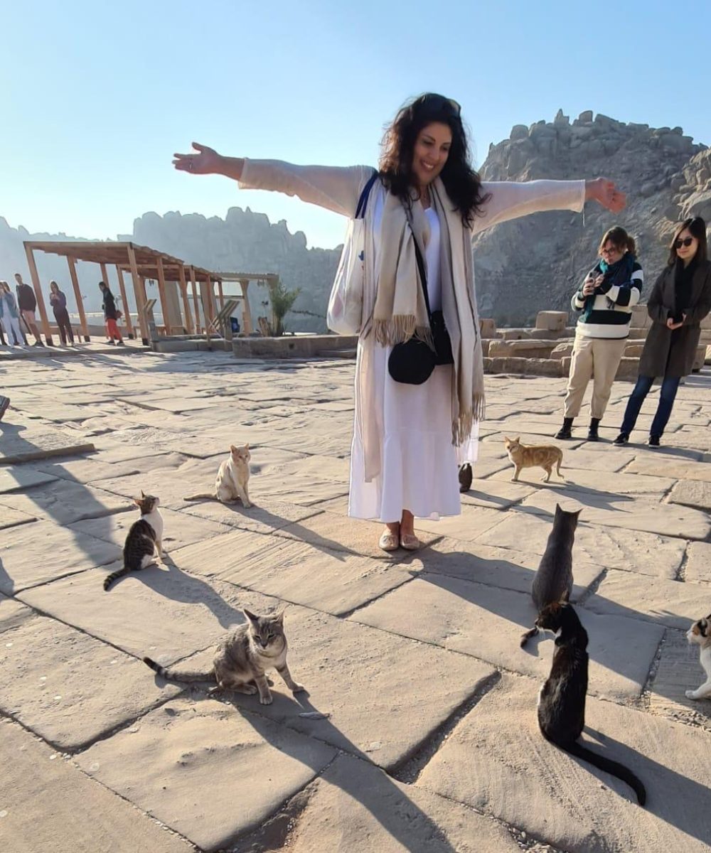 6d18e873-6bb4-4768-85a9-5937409bb6e8