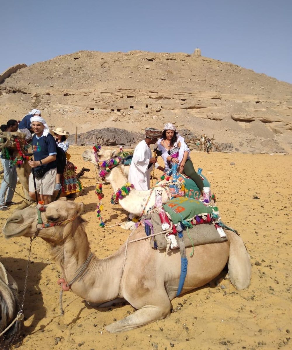 d6e9846b-c834-4cf5-8322-dd1ad83dad0e